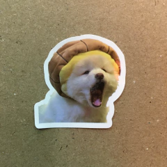 STICKERS DOG (SERIE B ) C/U