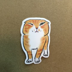 Imagen de STICKERS GATO ONLY (SERIE J ) C/U