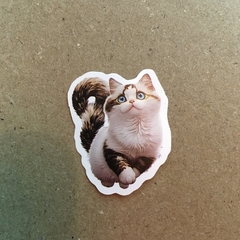 STICKERS LOVE CAT (SERIE B ) 1UN en internet