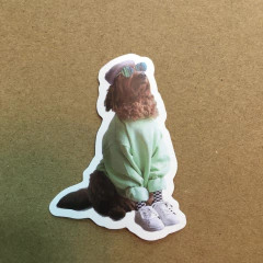 Imagen de STICKERS AUTOADHESIVO DOG FASHION (SERIE C ) C/U