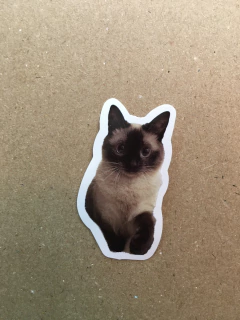STICKERS GATITOS SWEETY (SERIE G) C/U - comprar online