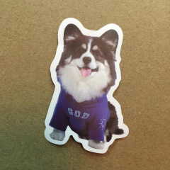 STICKERS AUTOADHESIVO DOG FASHION (SERIE C ) C/U en internet