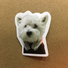 STICKERS DOG (SERIE E ) C/U