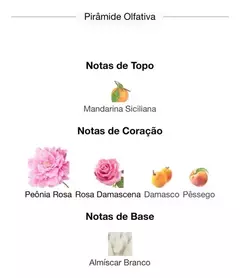 Perfume Brand Collection N°014 Inspiração miss dior Bloming Volume da unidade 25 mL - comprar online