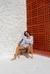 Conjunto listras - Crua
