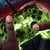 PDP Control para Nintendo Switch Afterglow Deluxe+, Alámbrico, Verde, con Entrada de Audio 3.5mm - Tecnófilos