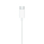 EarPods con conector USB-C - tienda en línea