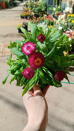 FLOR DE PAPEL