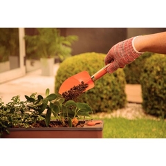 PALA ANCHA MANGO MADERA TRAMONTINA - tienda online
