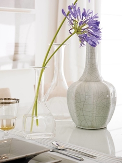 AGAPANTHUS