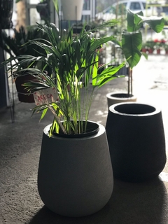 COMBO ARECA 7LTS + GOTA RUSTICA ROTOMOLDEO - comprar online