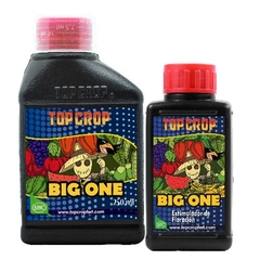 TOP CROP BIG ONE 100CC (Fertilizante para floración)