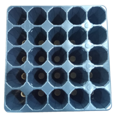 Imagen de BANDEJAS DE CULTIVO / GERMINACIÓN CARLUCCIO