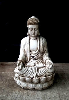 BUDA mediano ABUNDANCIA 32X14X21