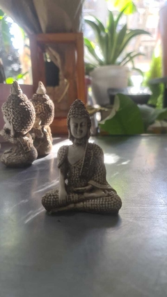BUDA MINI ALI - comprar online