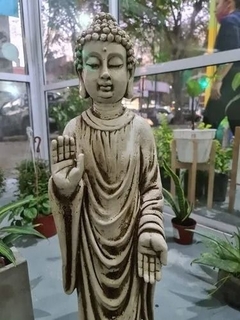 BUDA DE LA PROTECCION 80X20X20
