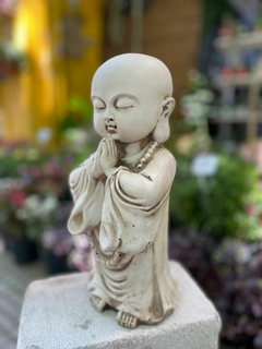 BUDA PALMA EQUILIBRIO 33x15x15 - comprar online