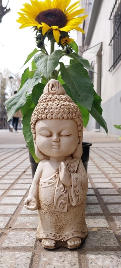 BUDA PRINCIPITO RESINA 21CM en internet