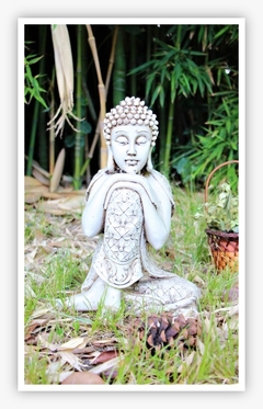Buda Rodilla De Resina 38x26x19 Aprox