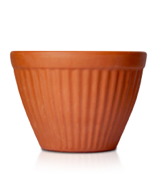 MACETA COLGADERA BLUM