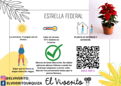 ESTRELLA FEDERAL - El Viverito