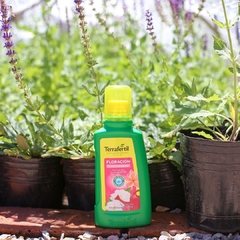 Fertilizantes líquidos FLORACION 330CC terrafertil - comprar online