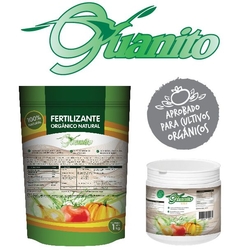 GUANITO CUATRO L
