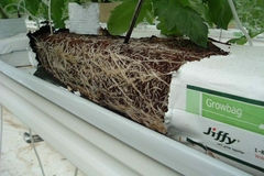 JIFFY GROW BAGS 24 LTS