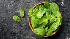 MENTA COMUN - comprar online