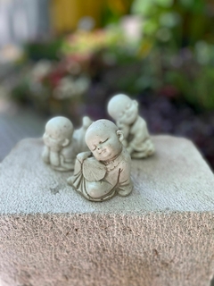 MINI PELADITO BUDAI (3 MODELOS) - comprar online