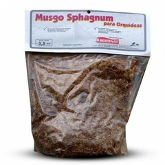 MUSGO SPHAGNUM PARA ORQUIDEAS BERTINAT - comprar online