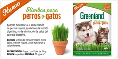 SEMILLAS HIERBAS GATERA ( PERROS Y GATOS ) 100 GRS GREENLAND