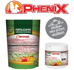 PHENIX CUATRO L