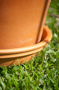 MACETA PLATO BLUM - comprar online