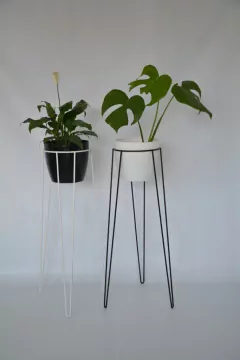 COMBO MACETA PREMIUM N27 + MONSTERA + PIE - YA LISTO!