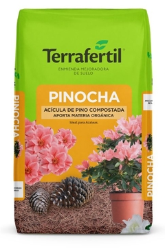 Pinocha TERRAFERTIL