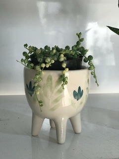 ROSARIO VARIEGADO - tienda online