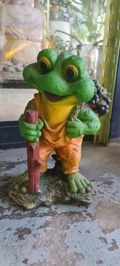 SAPO JARDINERO VARIOS MODELOS