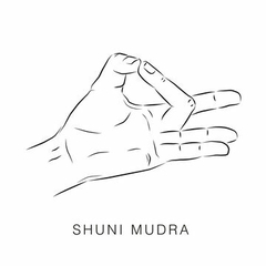 BUDA SHUNI 103x30x57 DE RESINA - comprar online