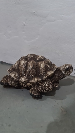 TORTUGA (cola metida) 14X21X16 en internet