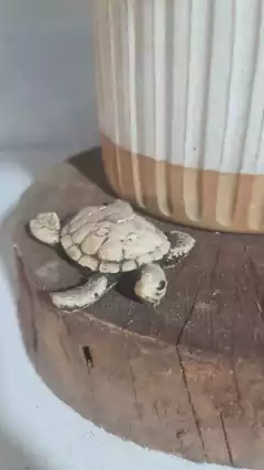 MINI TORTUGUITAS PINTADA - tienda online