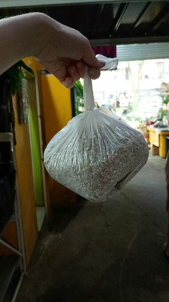 VERMICULITA en internet