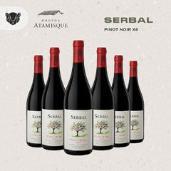 ATAMISQUE SERBAL PINOT NOIR - CAJA X 6 BOTELLAS DE 750 CC - comprar online