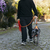 GUIA LONGA PRA CACHORRO 5M , CORDA E MOSQUETÃO SUPER RESISTENTE E MALEAVEL AZUL na internet