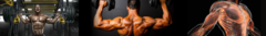 Banner da categoria Hipertrofia Muscular
