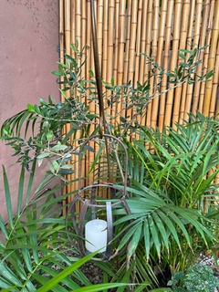 Jaula Jorgelina (DE313) - La Fontana Deco
