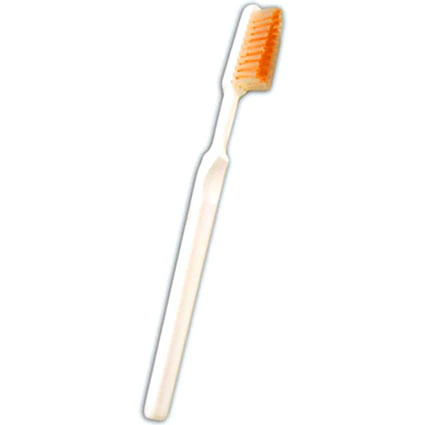 Macro Escova 36cm - Modelo Anatômico Odontológico