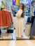Imagem do VESTIDO HANNAH