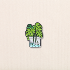 Pin monstera en vaso - comprar online