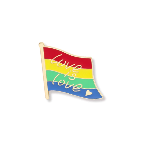 Pin love is love flag